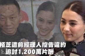 娱乐吃瓜趴,揭秘明星们的“吃瓜趴”幕后故事