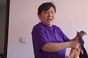 娱乐吃瓜君郭老师视频,揭秘娱乐圈幕后故事