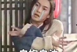 为了吃瓜我进娱乐圈了,我的跨界之旅