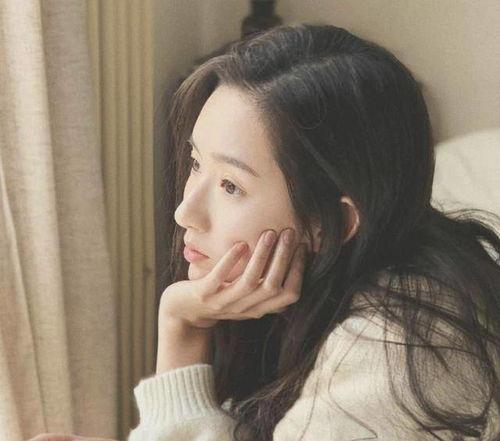 娱乐圈吃瓜爆料博主猫,猫博主带你探秘明星幕后生活